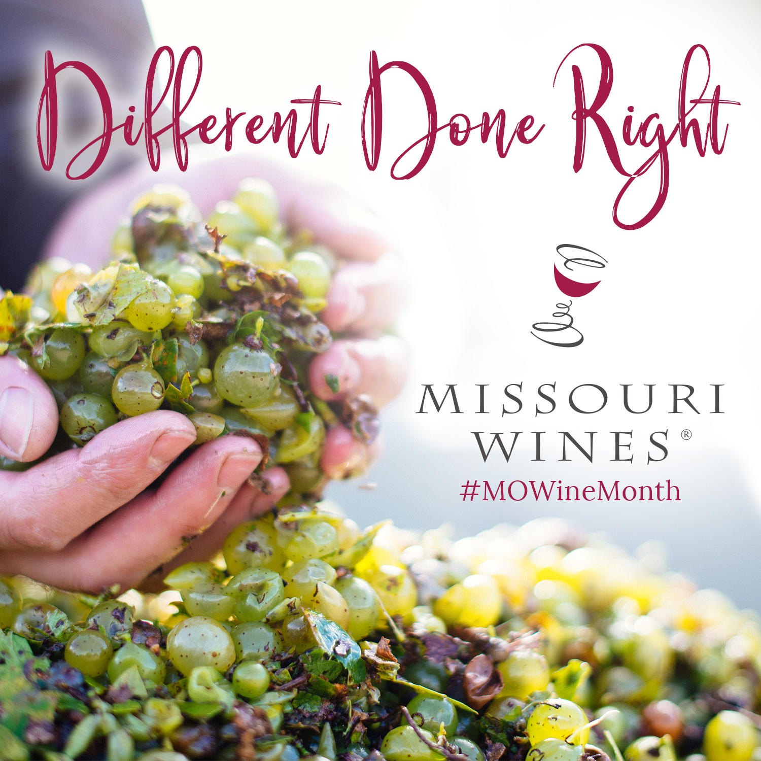 Celebrating Missouri Wine Month