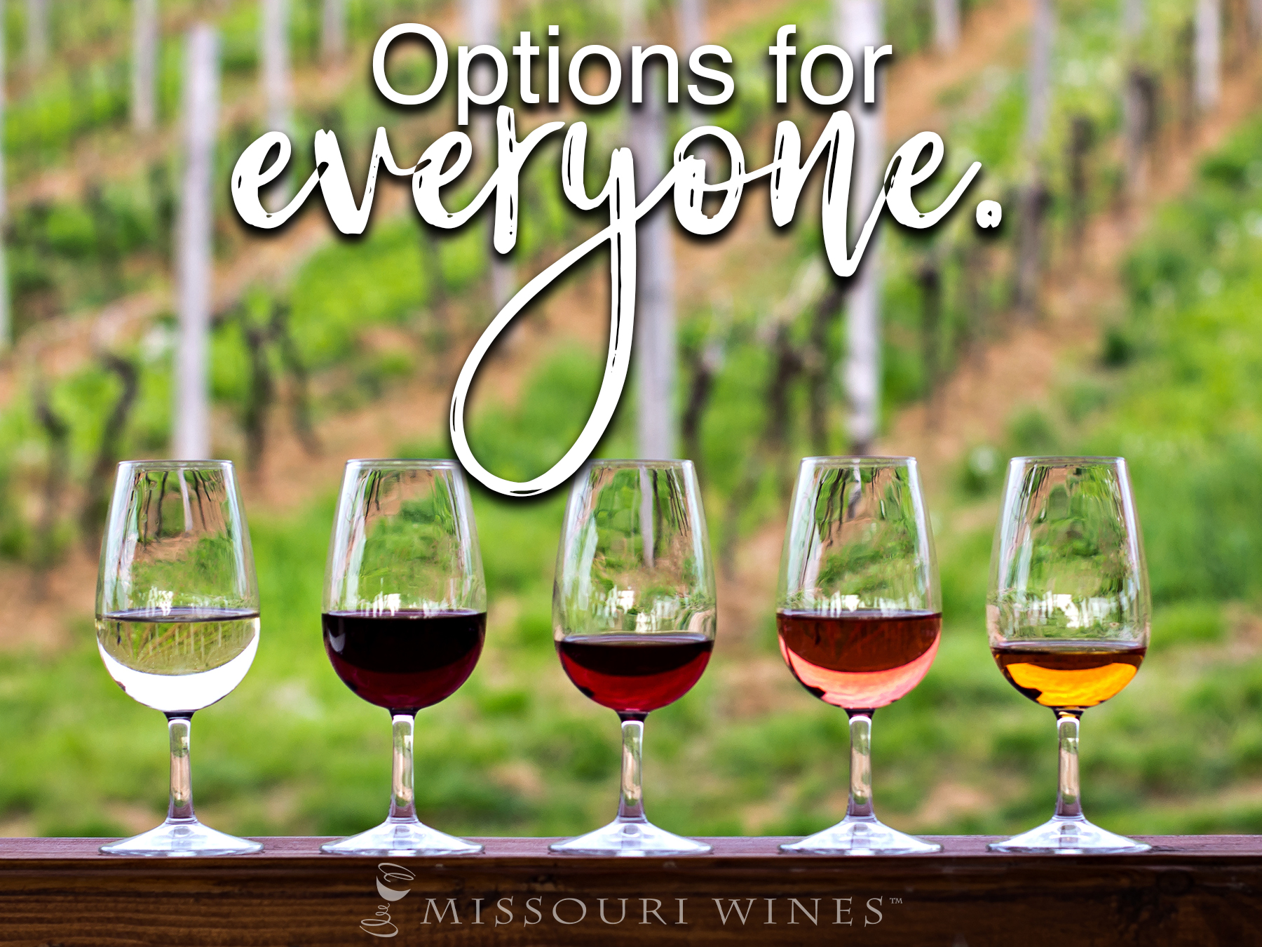 Celebrating Missouri Wine Month