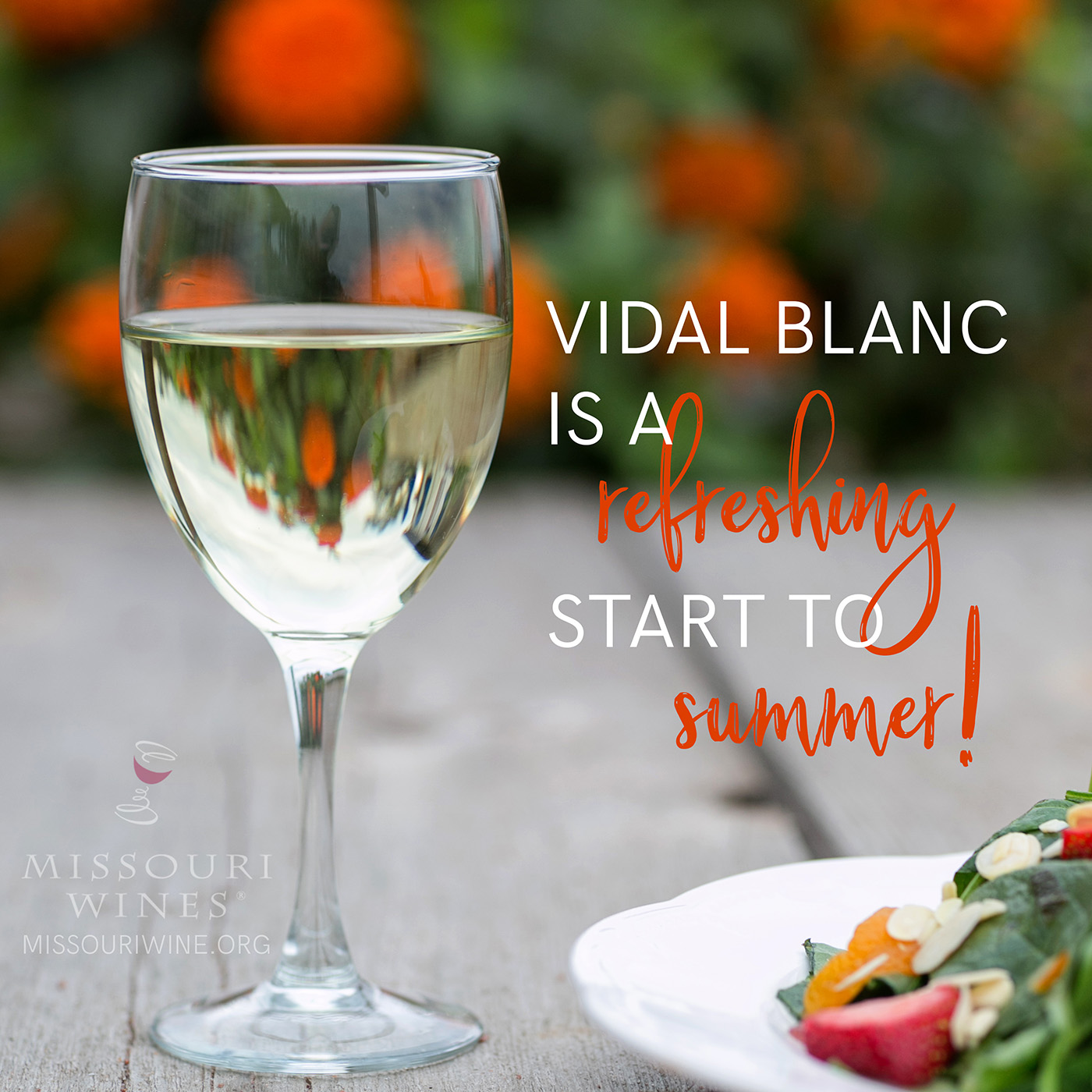 MO Vidal Blanc is a Refreshing Start to Summer 