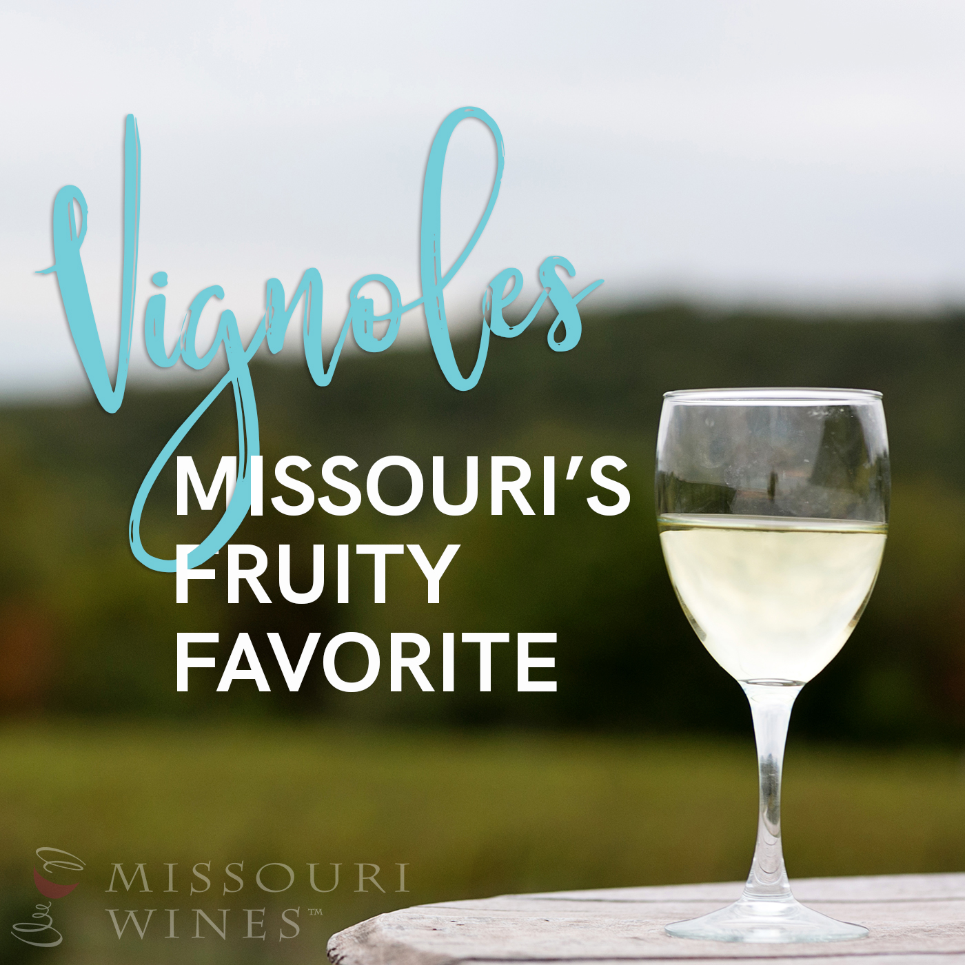 Vignoles - Missouri’s Fruity Favorite 
