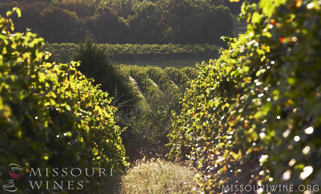 Travel Missouri Wine Country with these Wine-tineraries