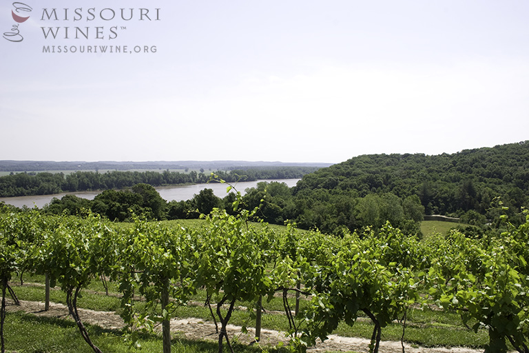 The Sustainability of Missouri Wine Country