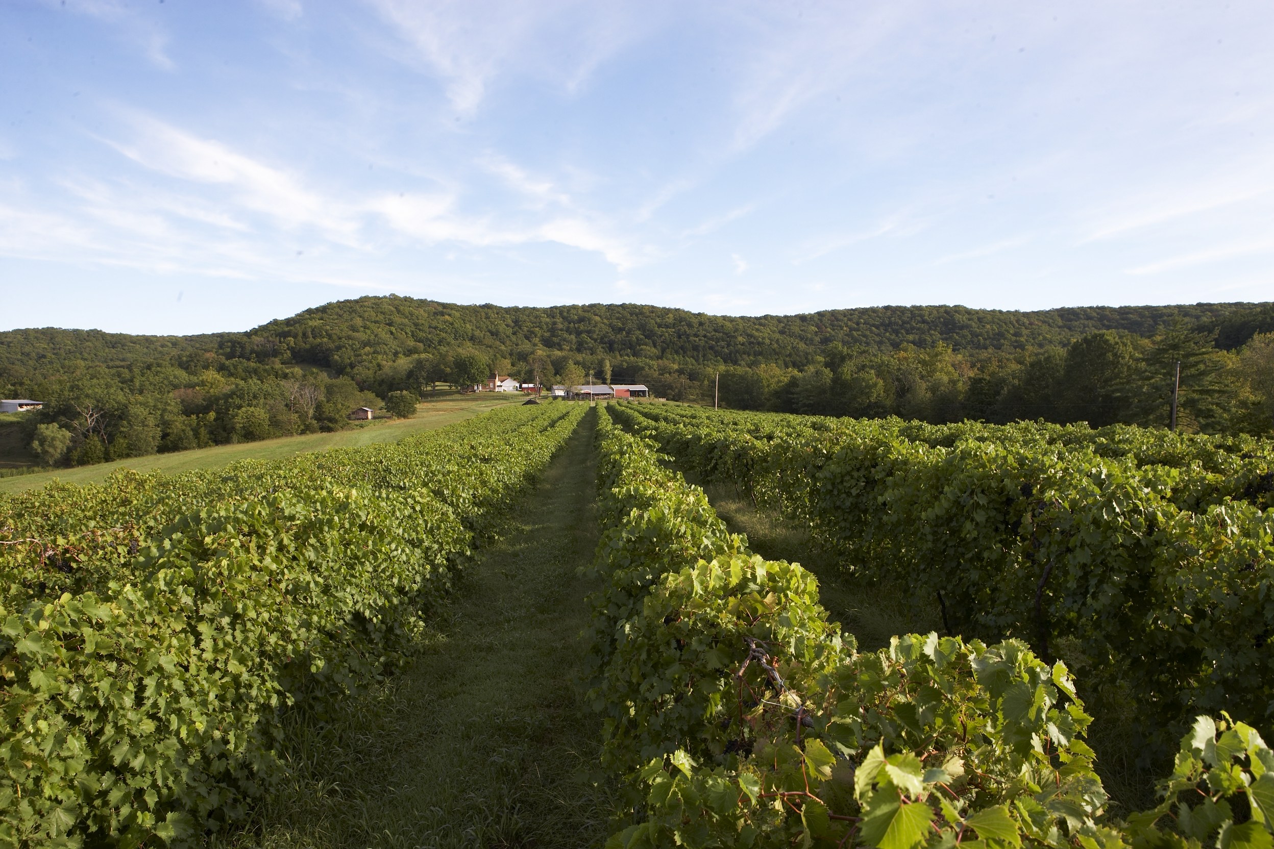 Celebrate Missouri’s Bicentennial Anniversary with Missouri Wines