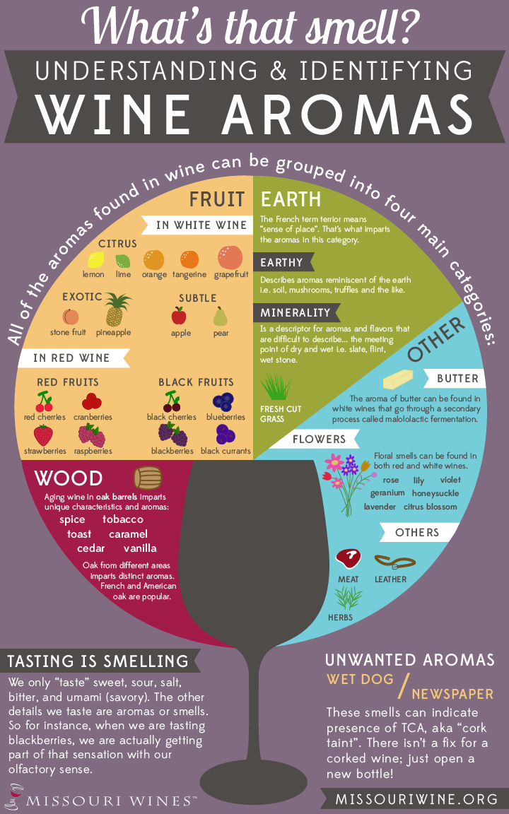 What’s that smell? Understanding & Identifying Wine Aroma