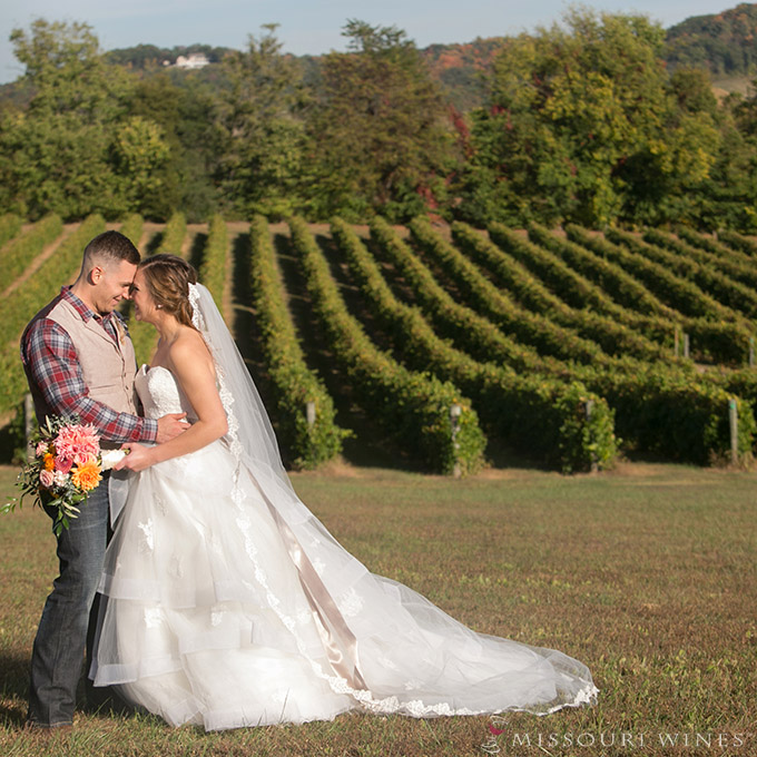 Planning the Perfect Winery Wedding 