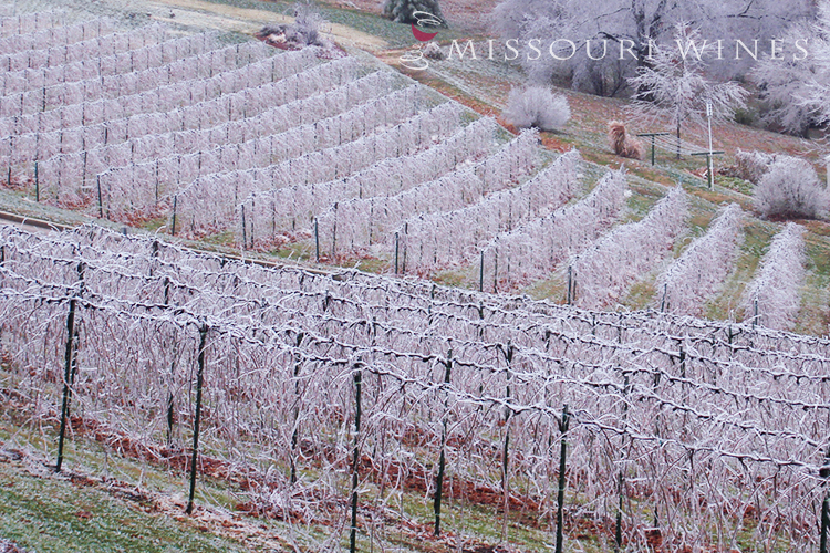 6 Reasons to Visit Wine Country in the Winter