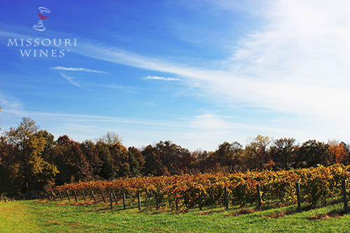 Fall Favorites – Celebrating with Missouri Wine