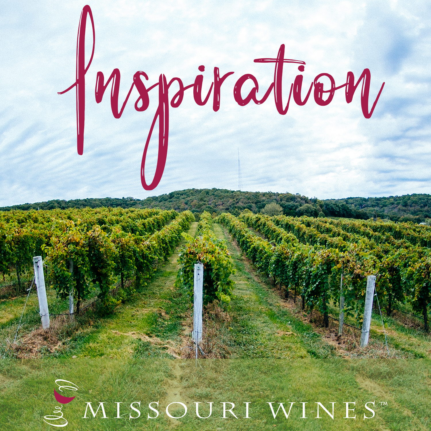 What Inspires Missouri Winemakers