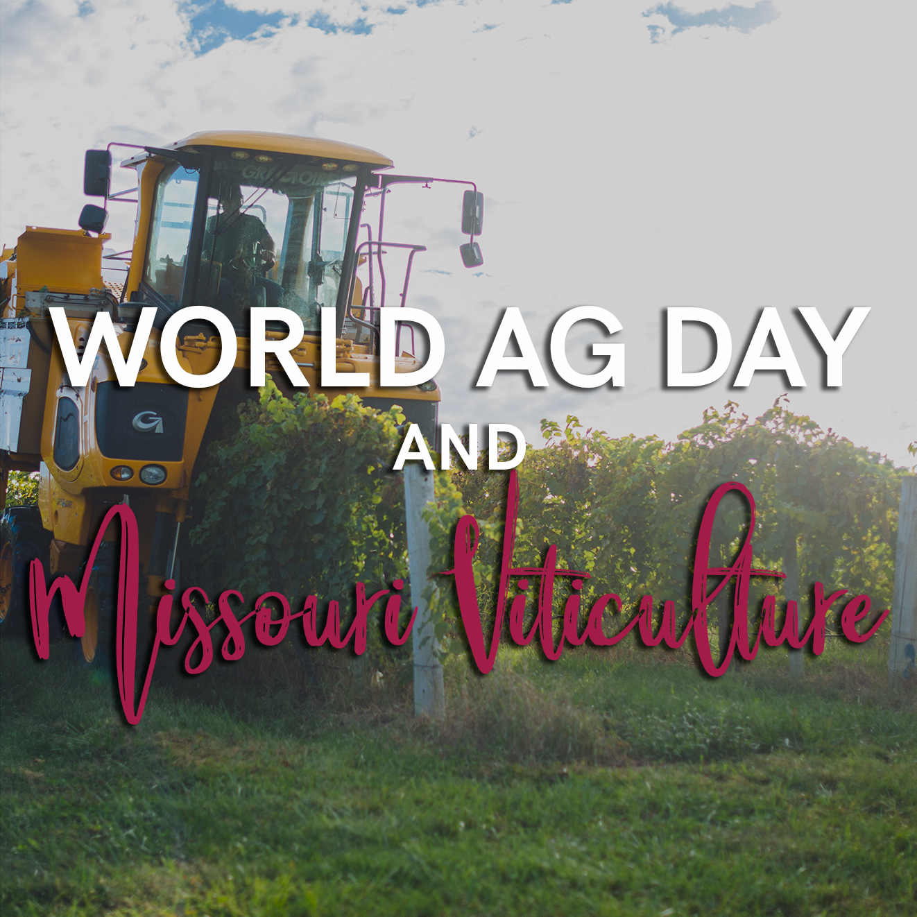 Raise a Toast to World Ag Day and Missouri Viticulture