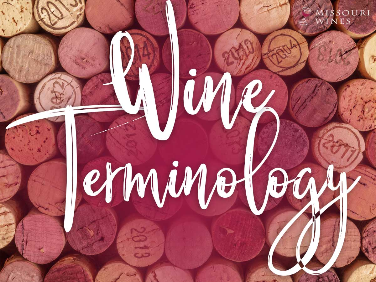 Wine Terminology MO Wine