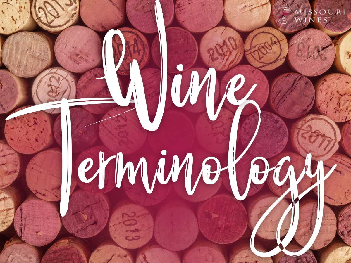 Wine Terminology