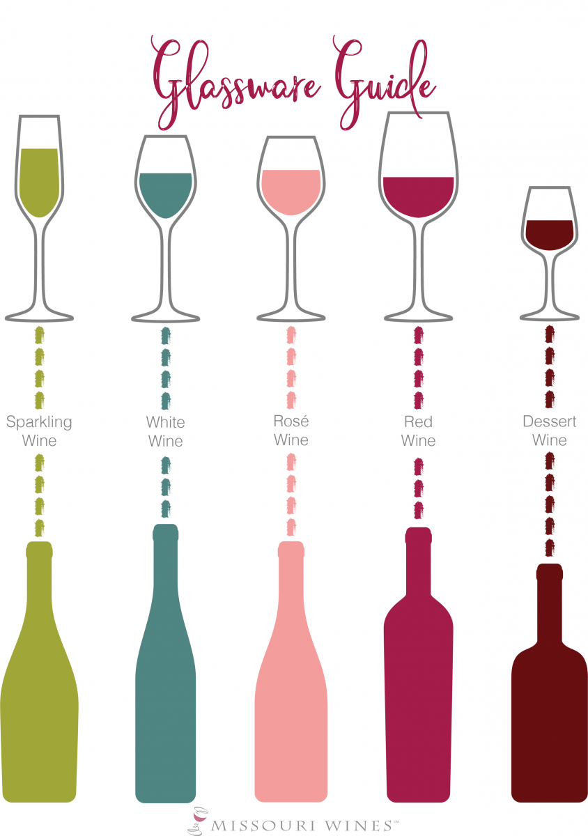 Wine & Glass pairing: Guide to different types of wine glasses with st