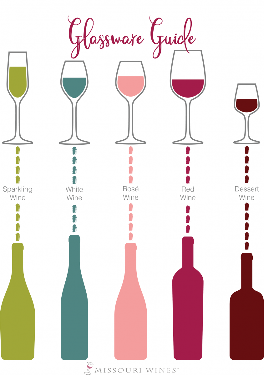 What's In A Glass: Different Types of Wine Glasses –