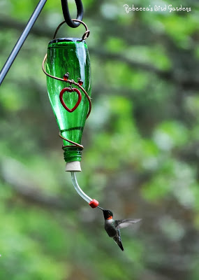 7 Ways to DIY in the Garden with Wine | Hummingbird Feeder