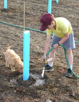 Becca as a puppy in the vineyards with a little boy