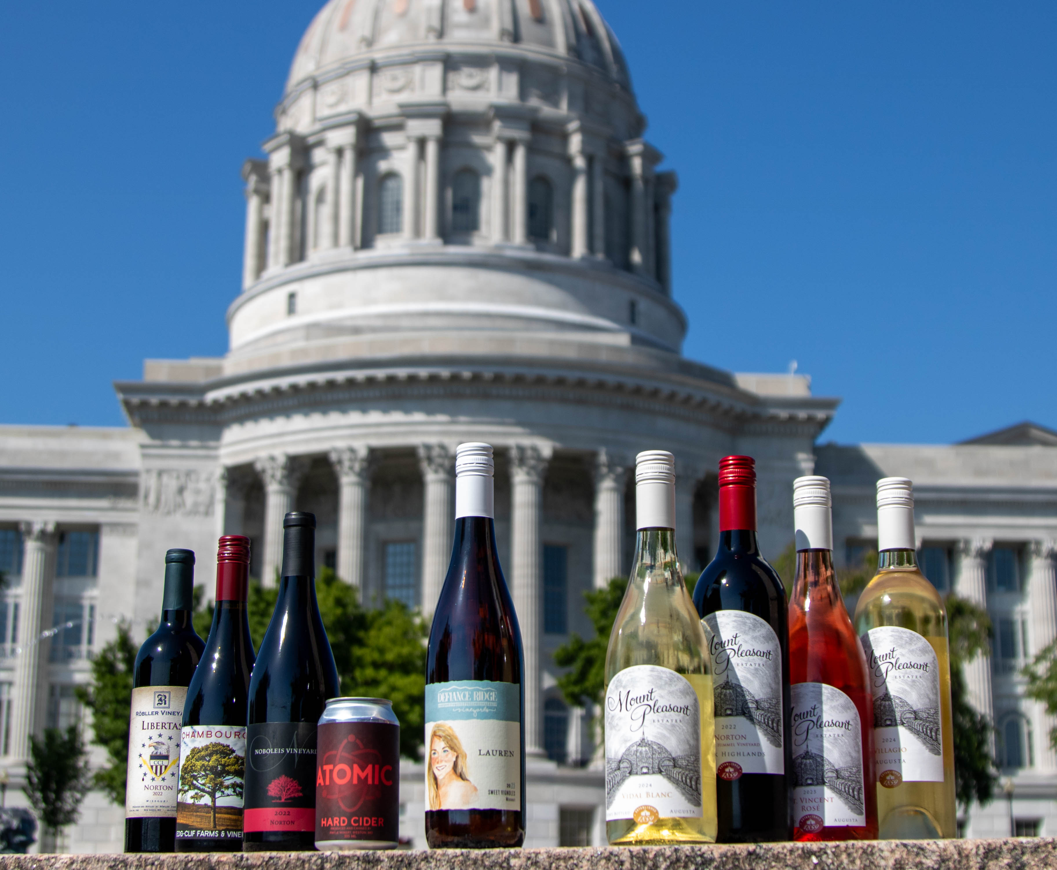 Picture of the label winners lined up in front of the capital