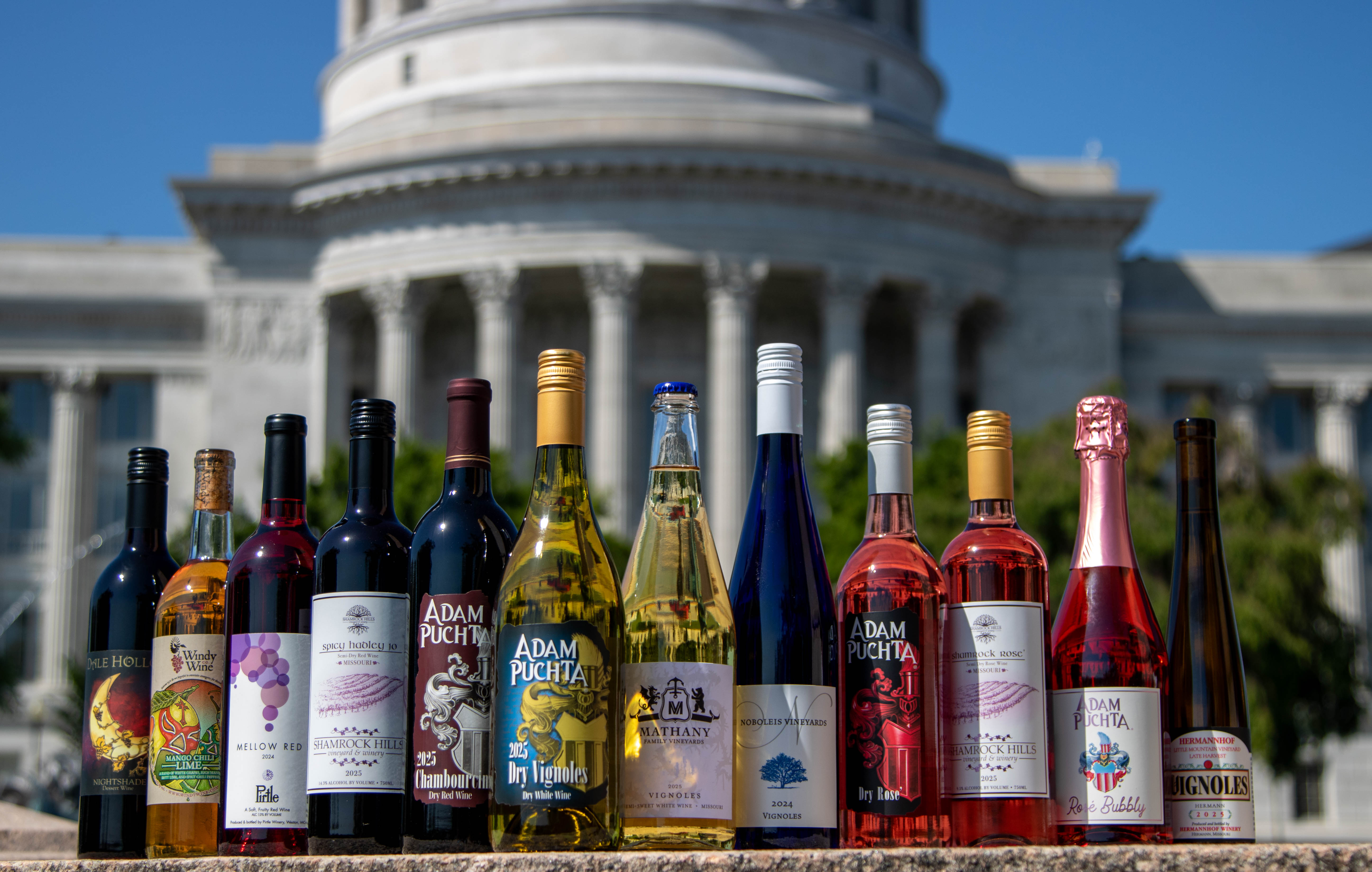 best of class wines lined up on the edge
