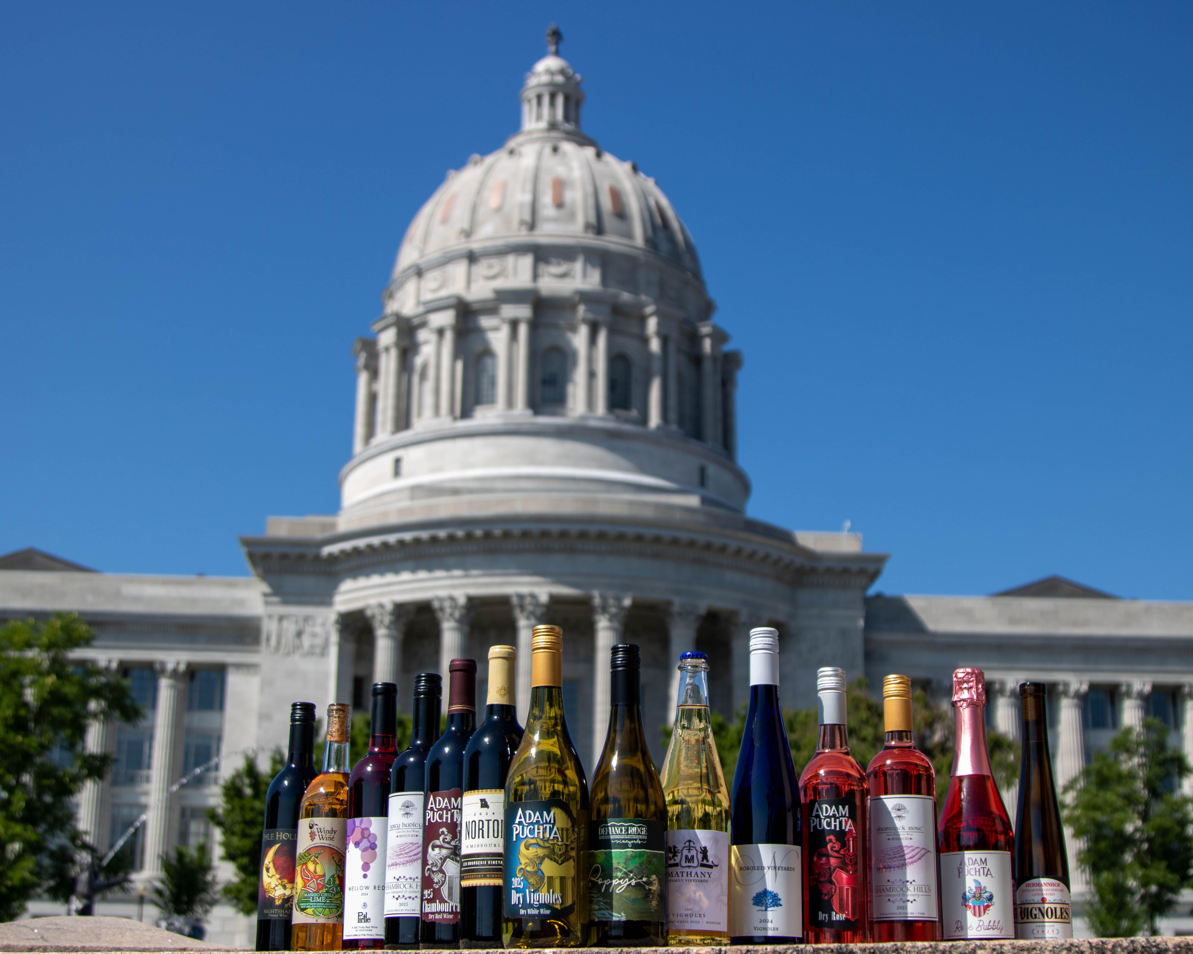 winning wines
