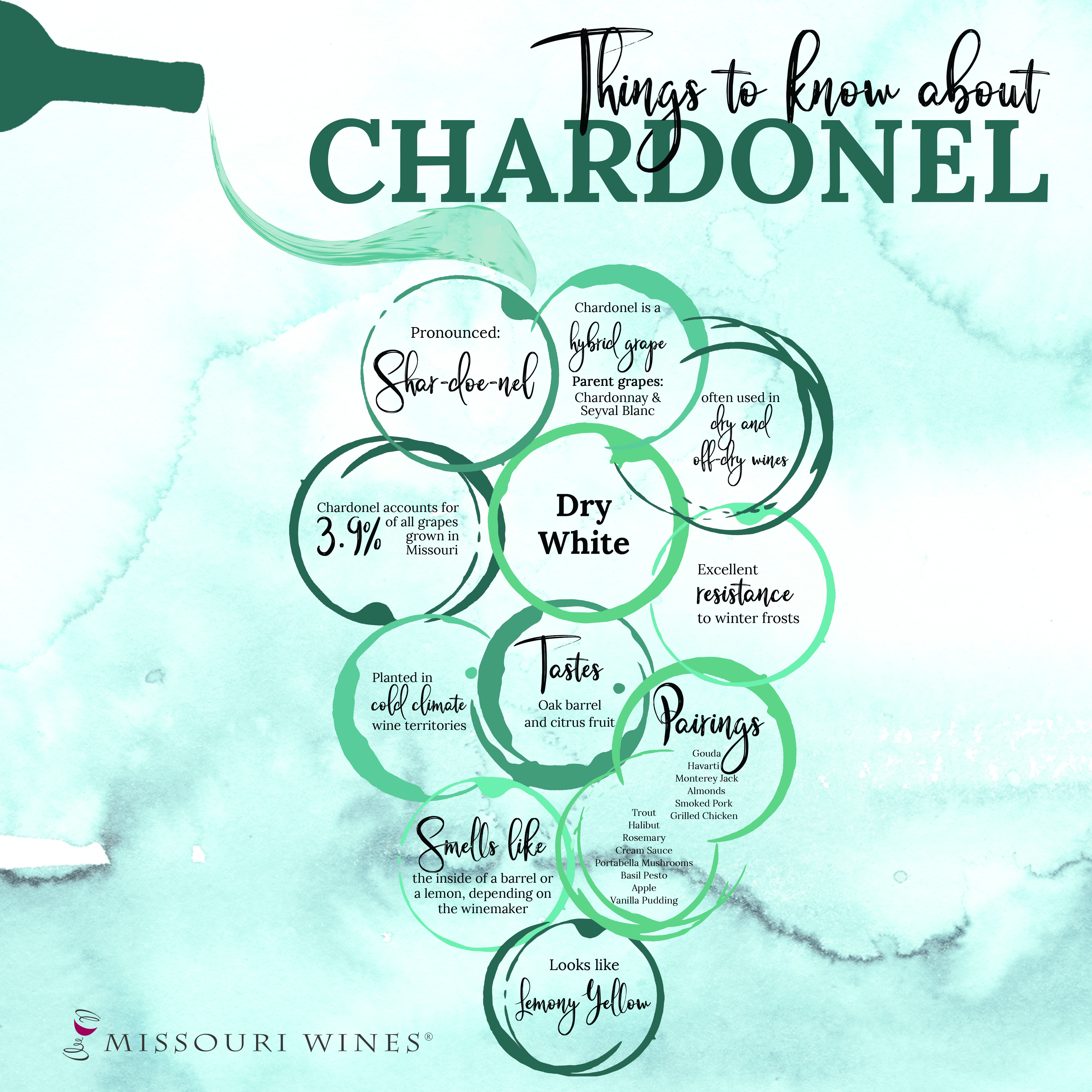 Chardonel Infographic