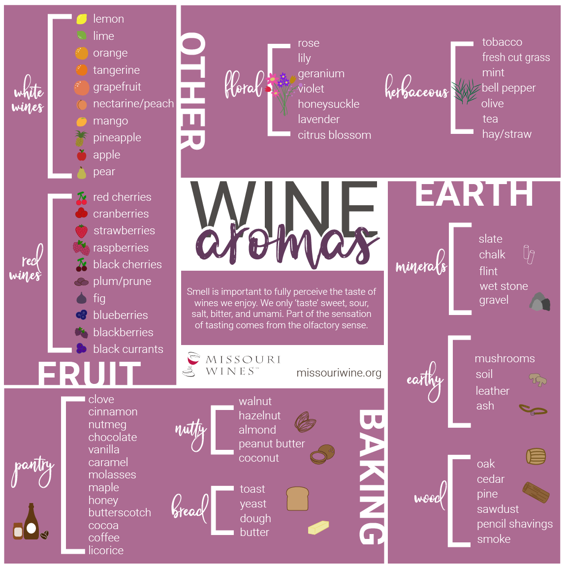 Wine Aroma Guide
