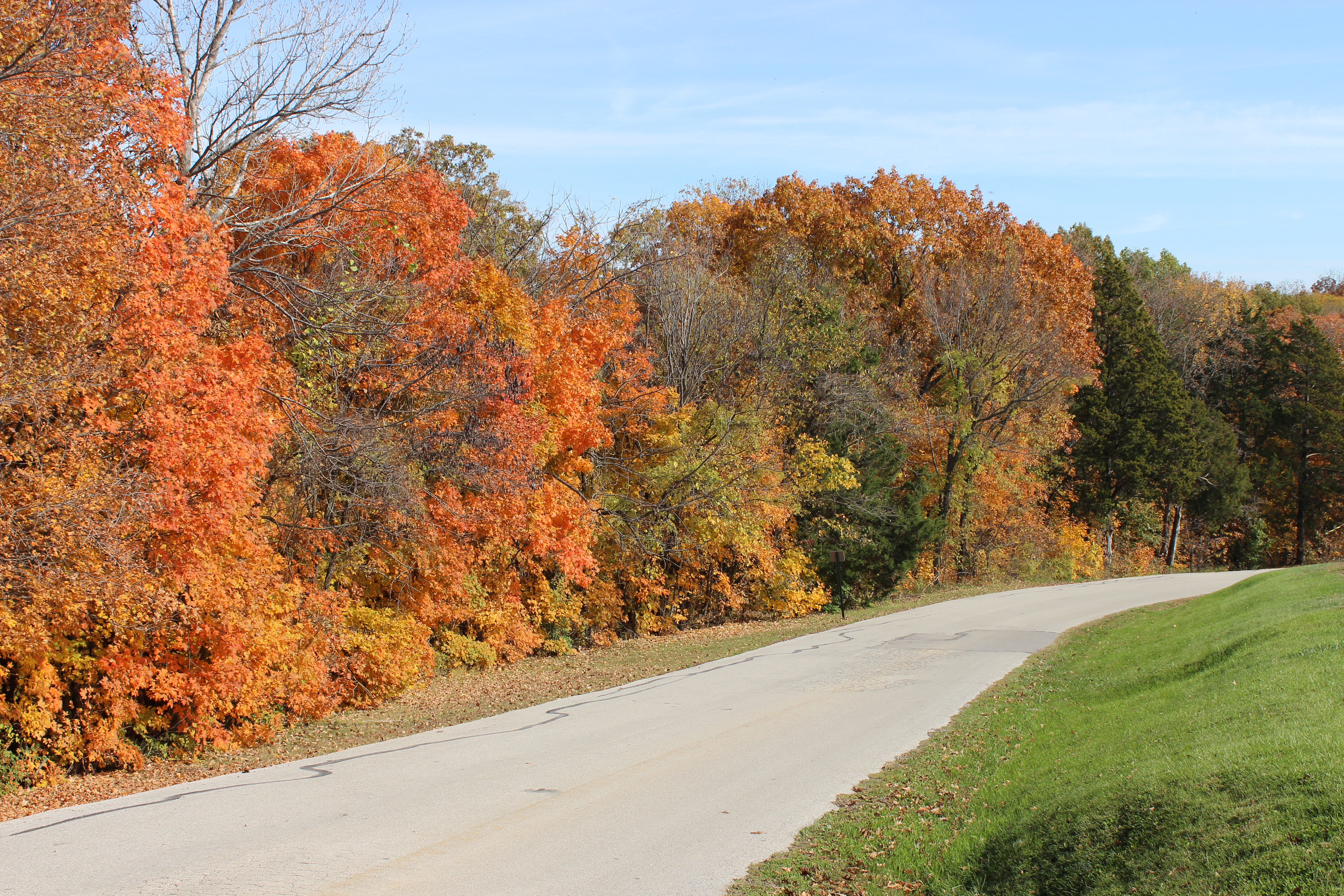 the trees going around the road changing colors