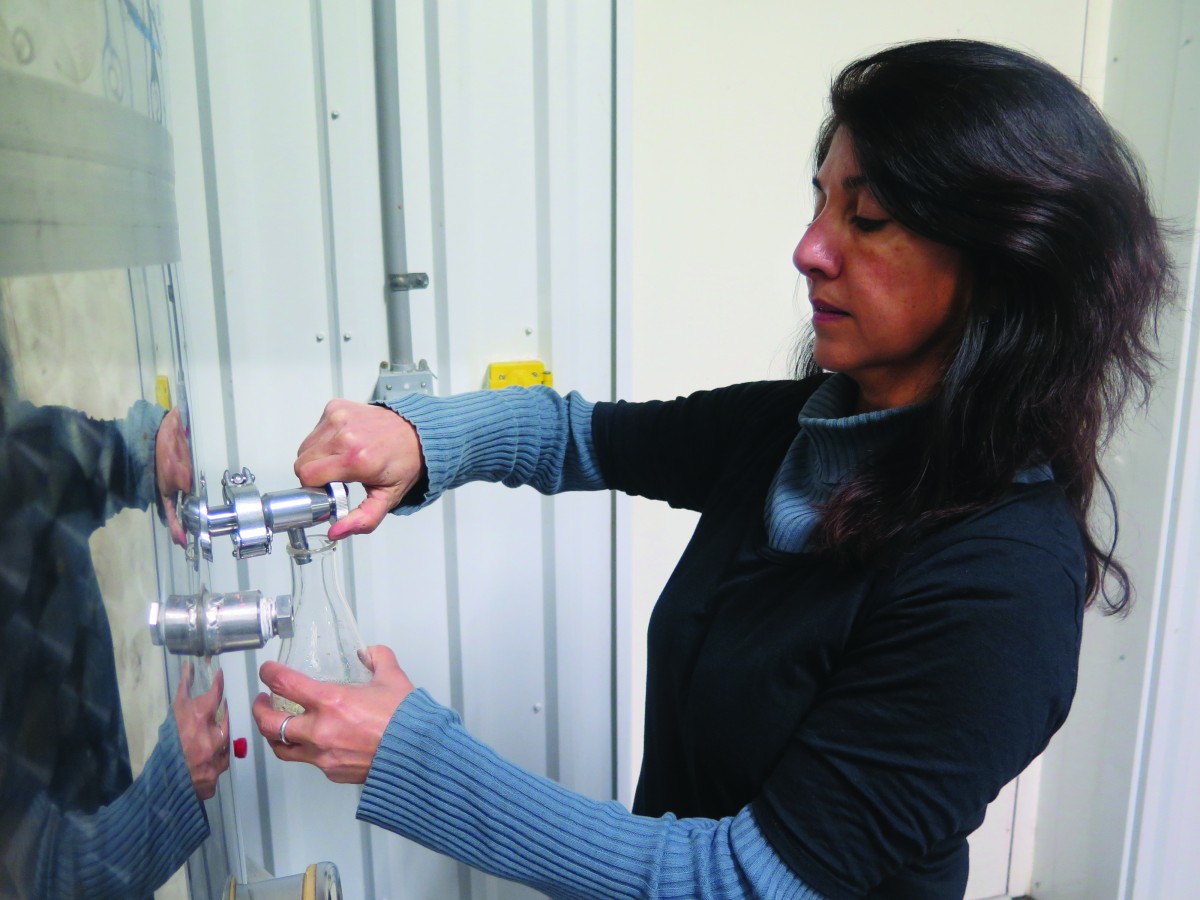 Photo of Shriti Plimpton