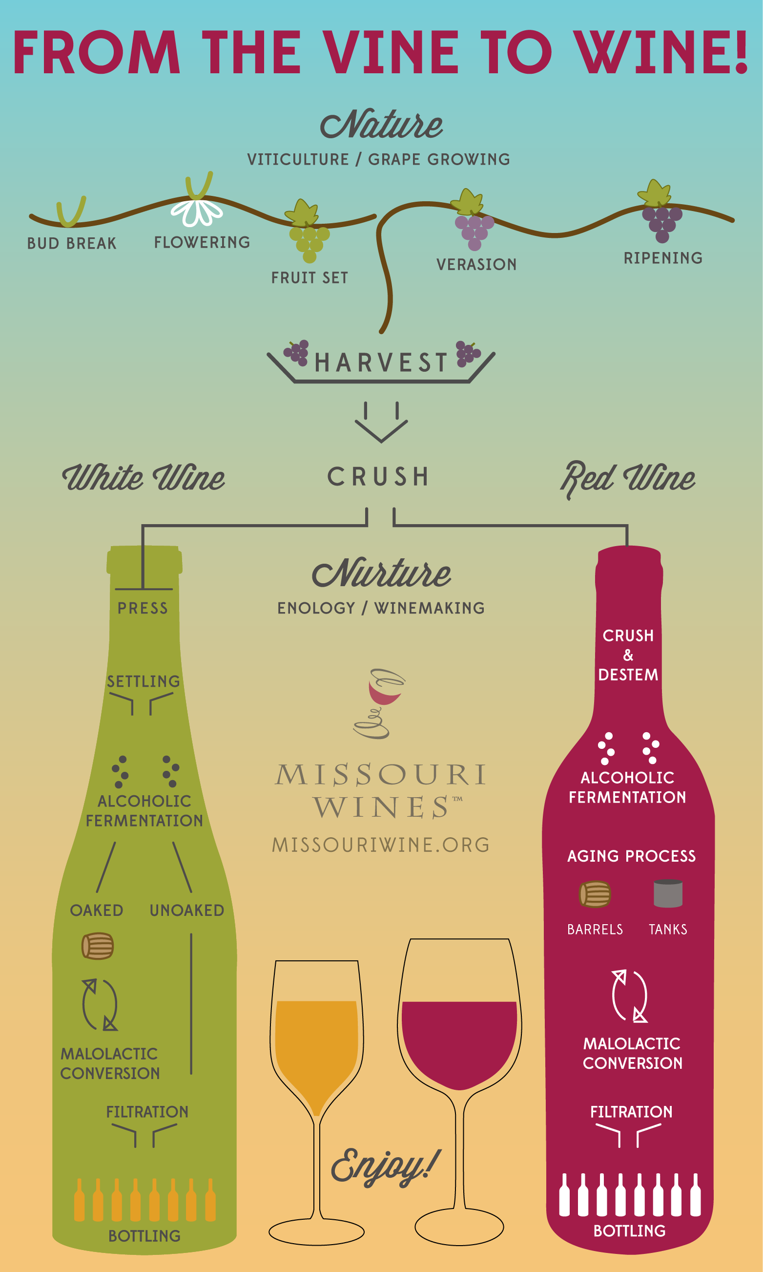 from the vine to wine