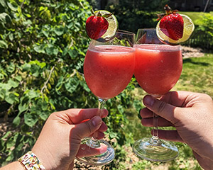 Cool off with Frose: Cheers