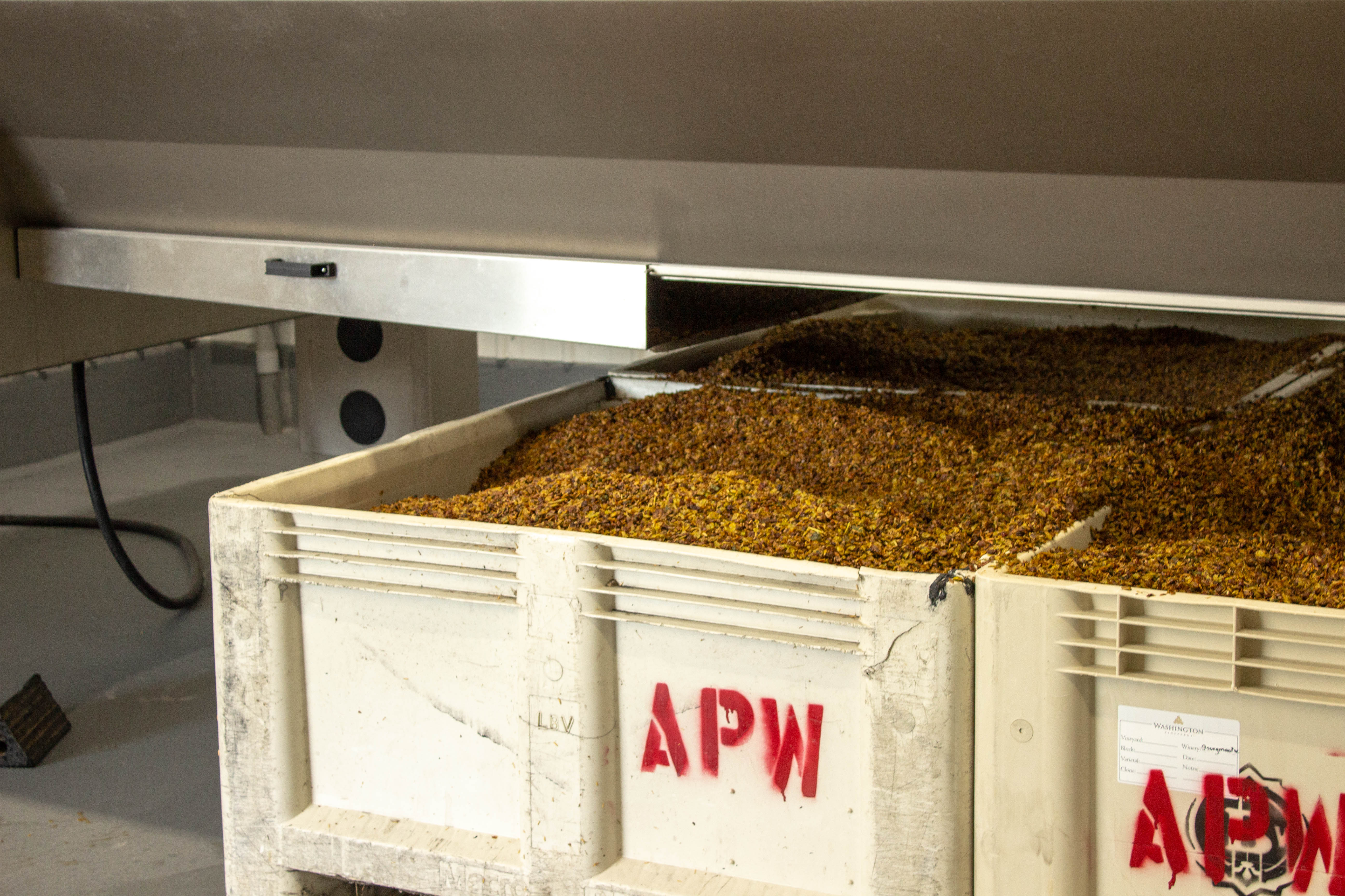 Grape must collection bin