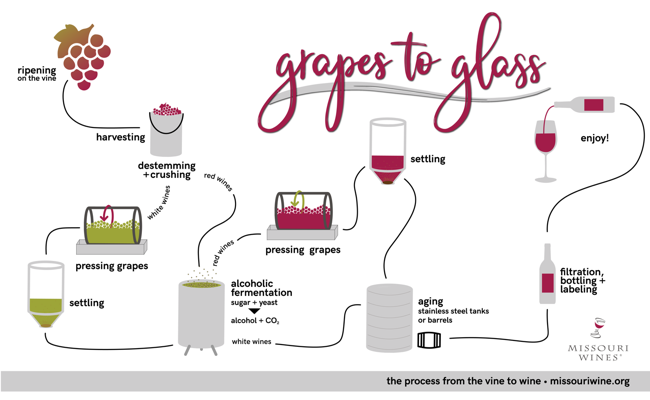 Grapes to glass process