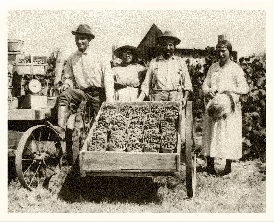 Late 1800s, St. James Winery