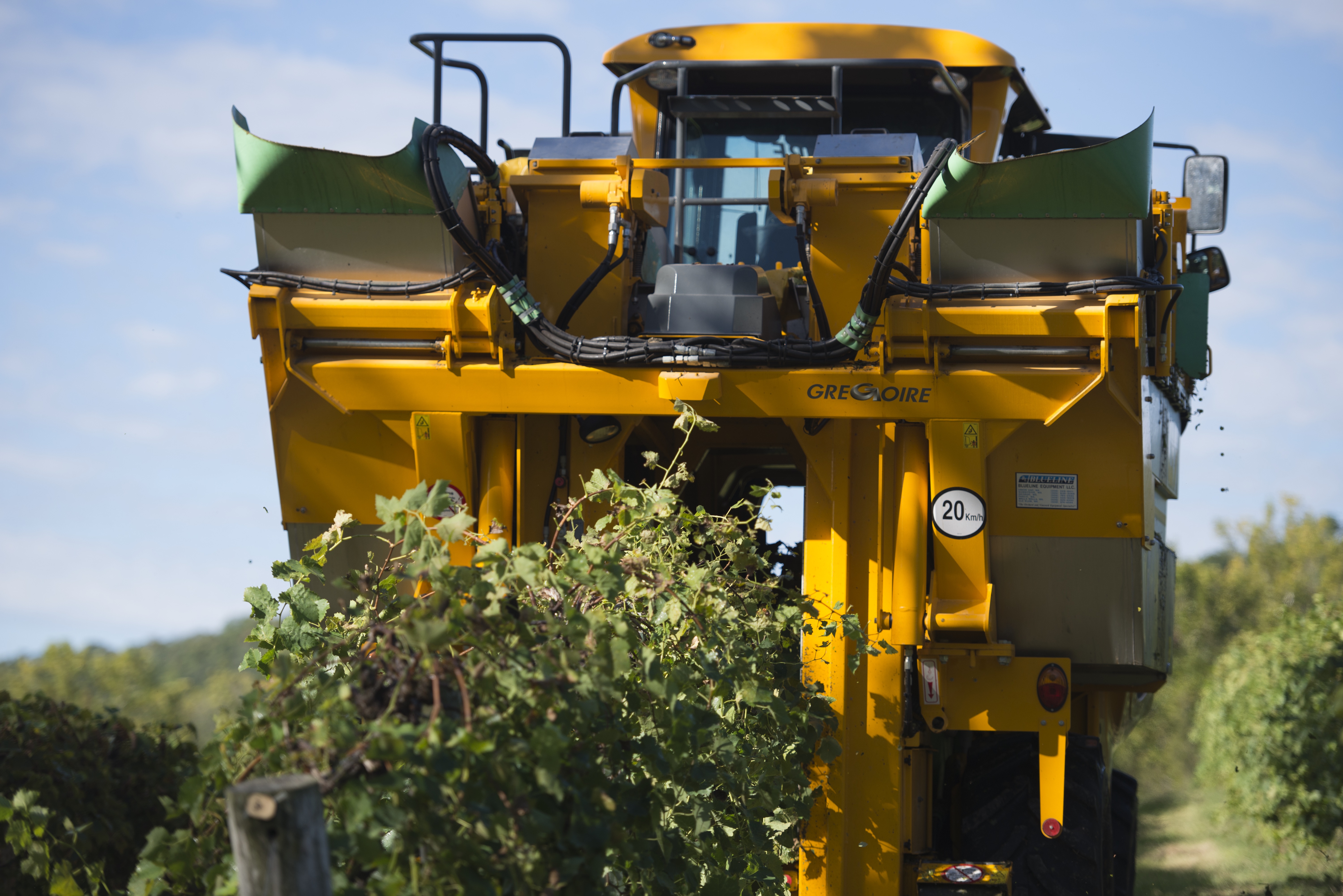 Mechanical harvester