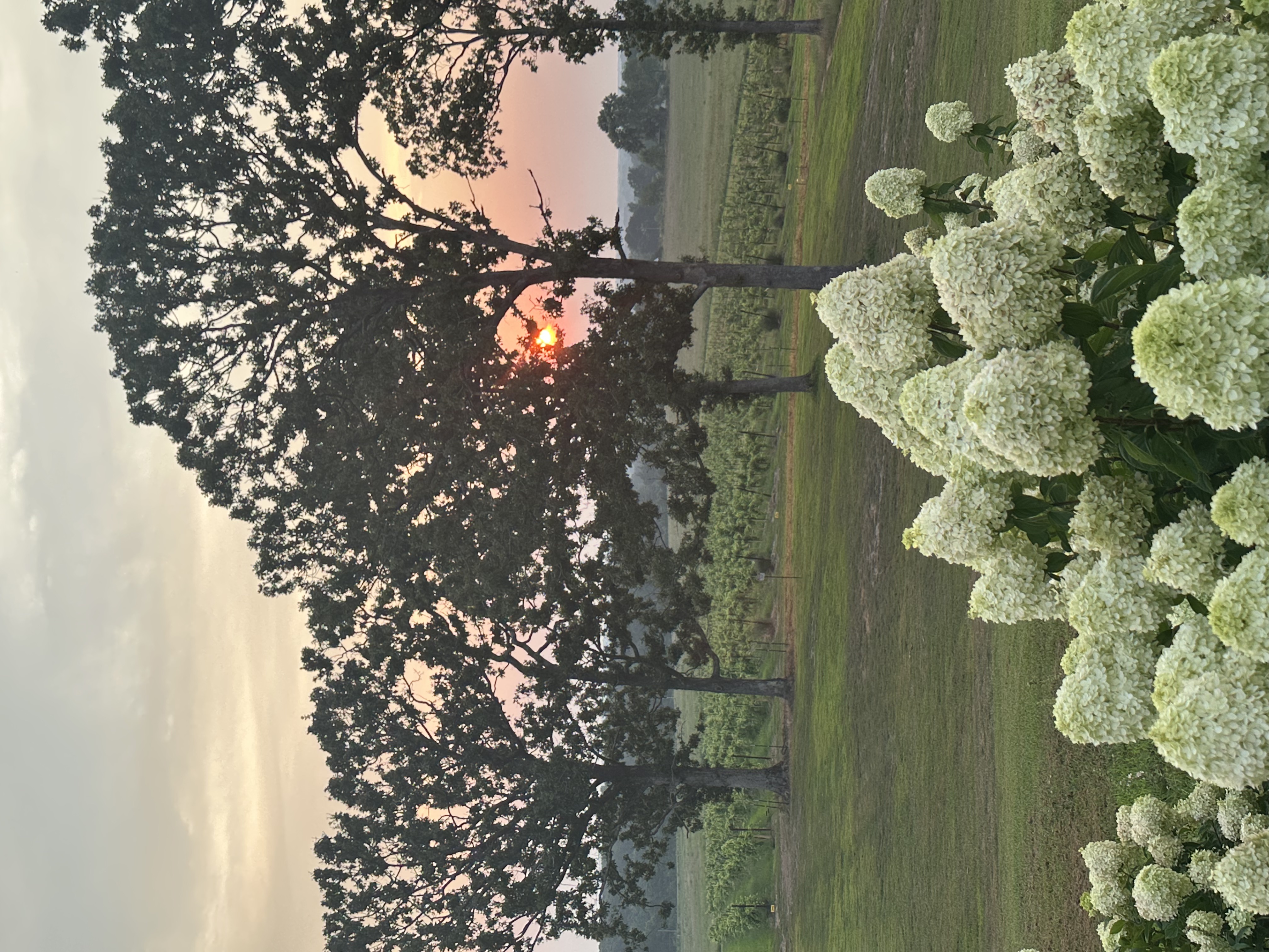 Serene Spencer Sunset