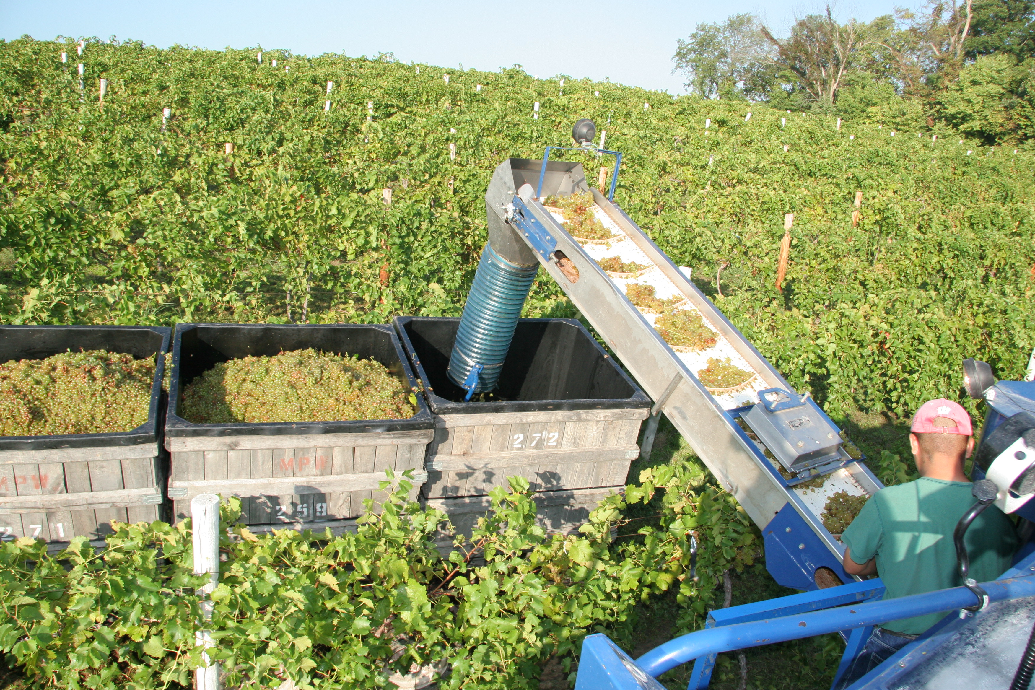Harvester