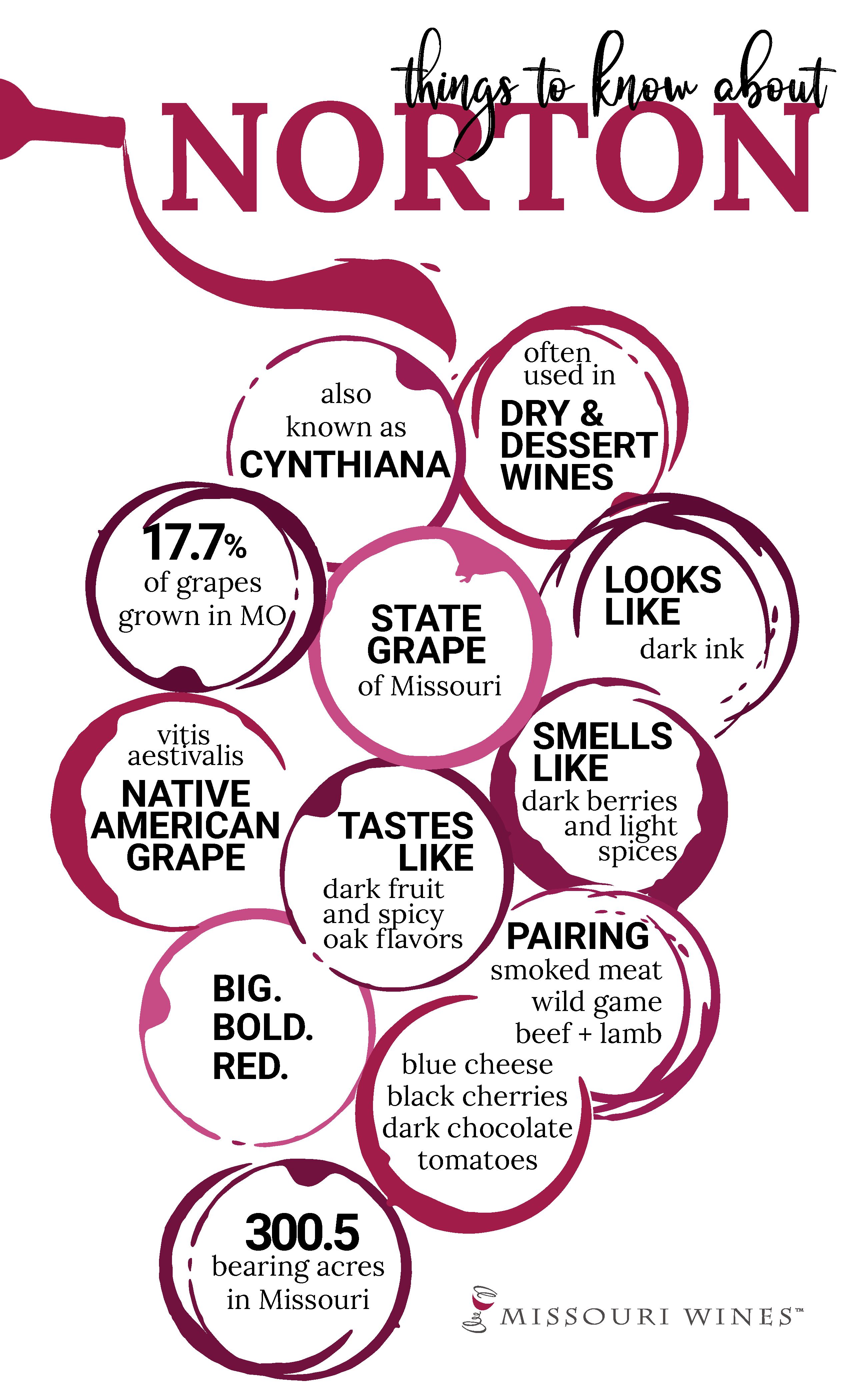 Grape graphic that has Norton wine facts in each "cluster"