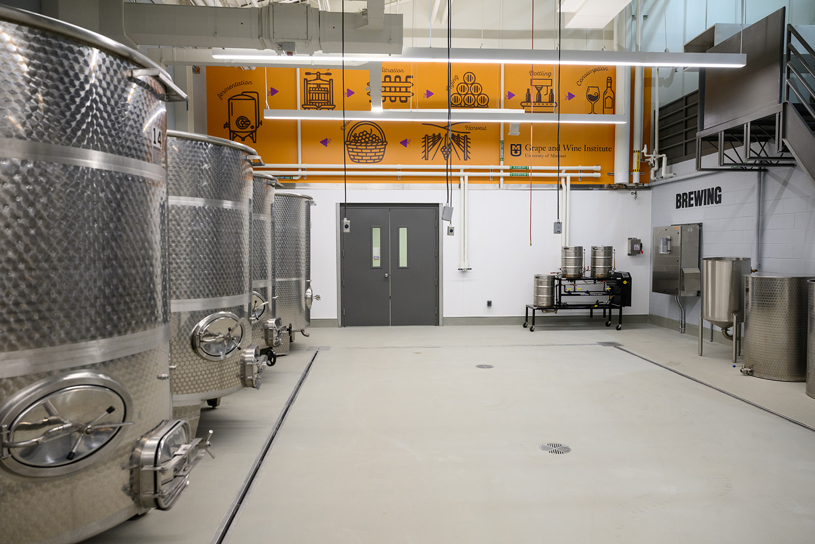 Tanks in a fermentation room with pictures on the wall