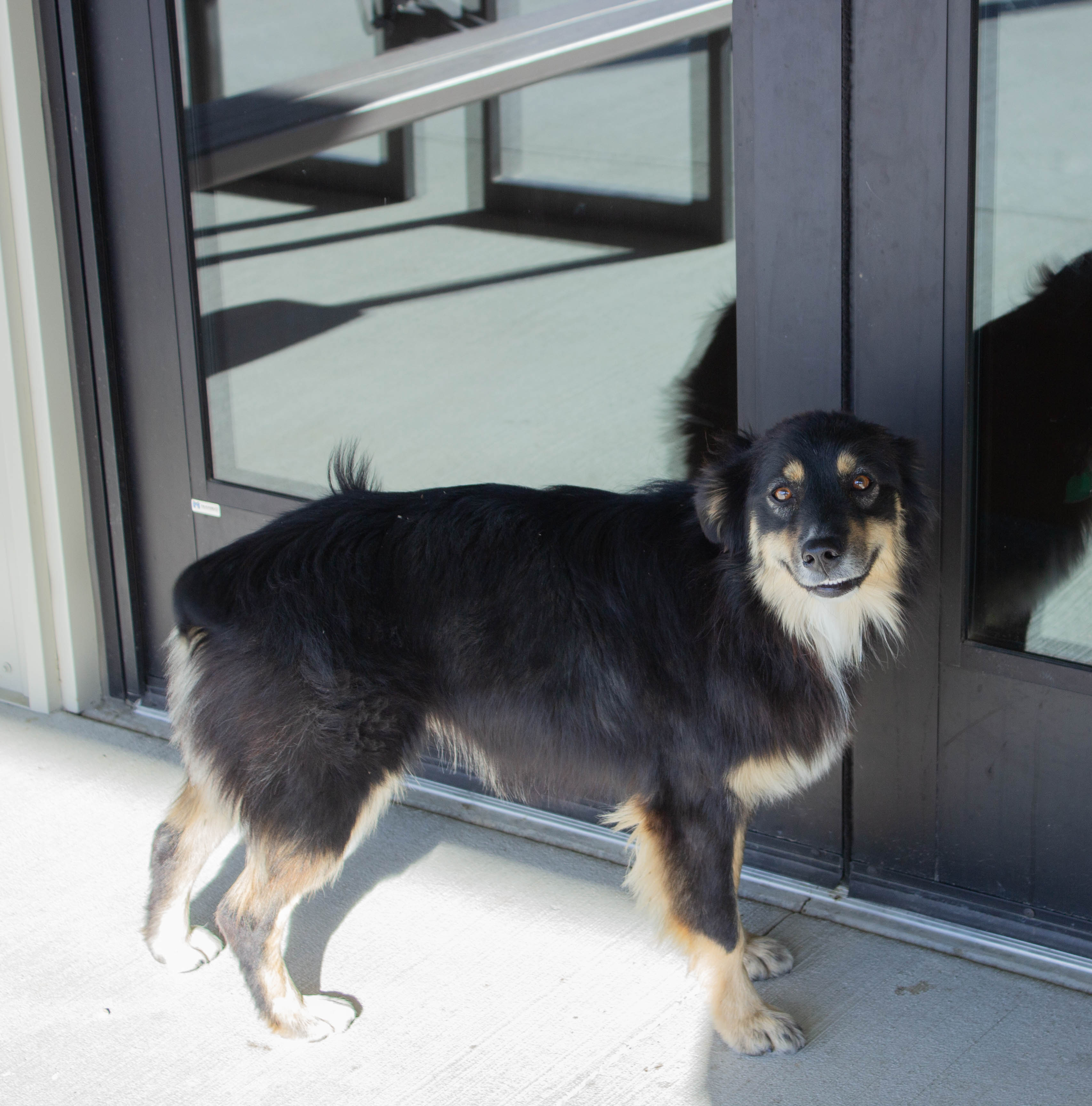 Chloe at Shamrock Hills