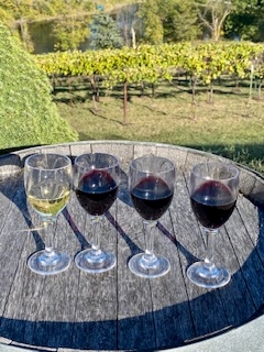 Four wine glasses