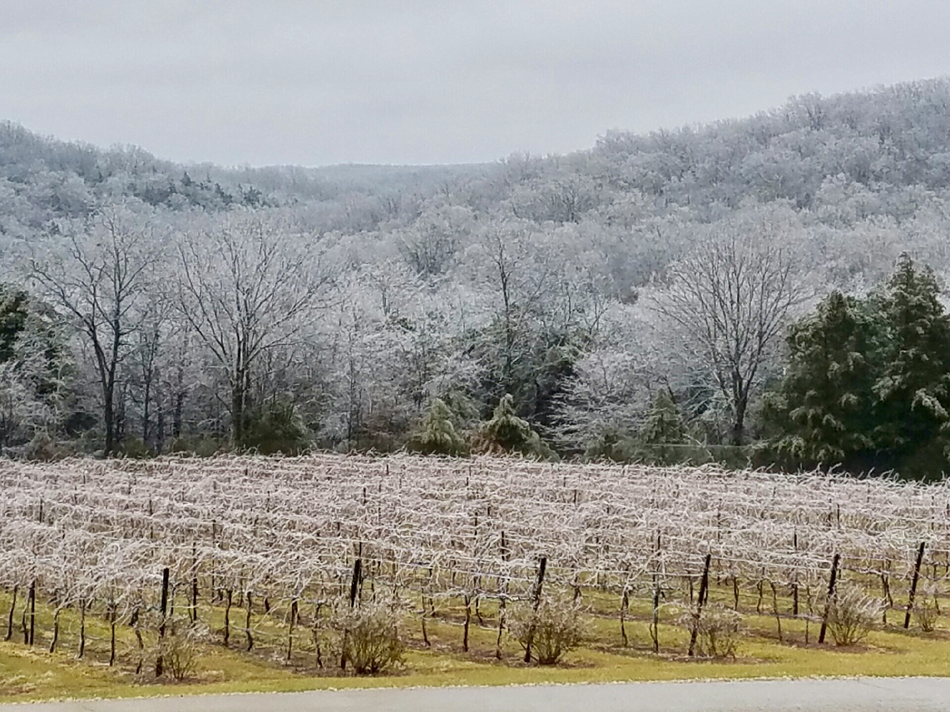 Winter at Chaumette Vineyards and Winery