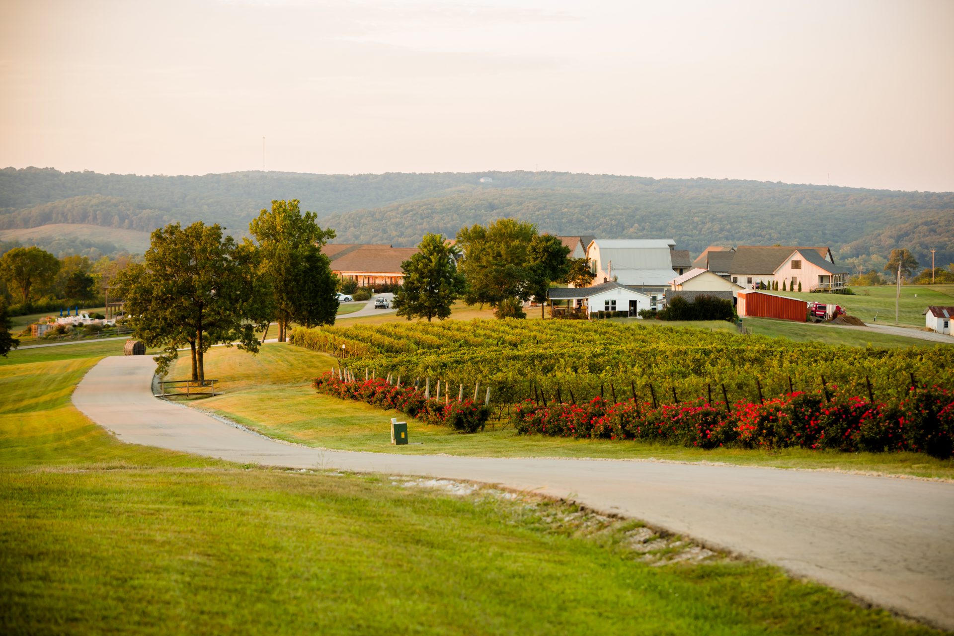 Chaumette Vineyards & Winery