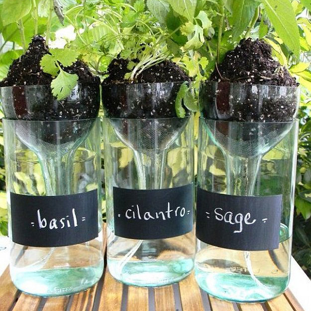 7 Ways to DIY in the Garden with Wine | Self Watering Planters