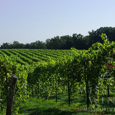 Hermann is home to many wineries and vineyards.