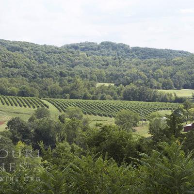 Missouri has 1,700 acres of vineyard.