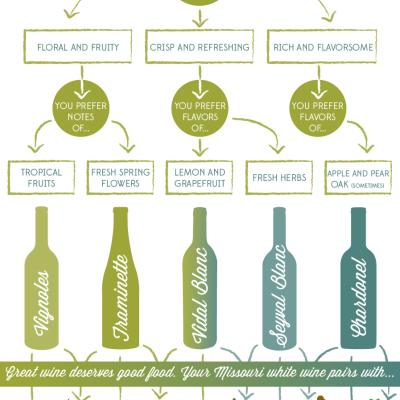White Wine Infographic