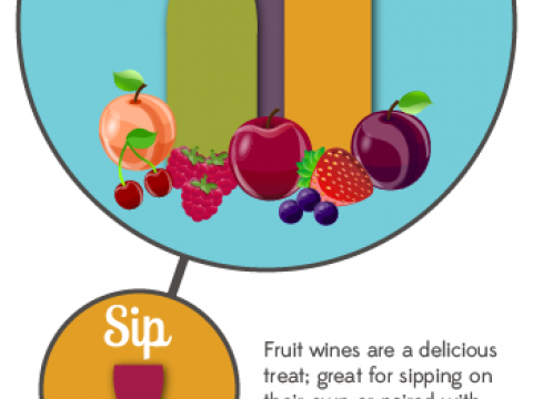 Fruit Wine Infographic