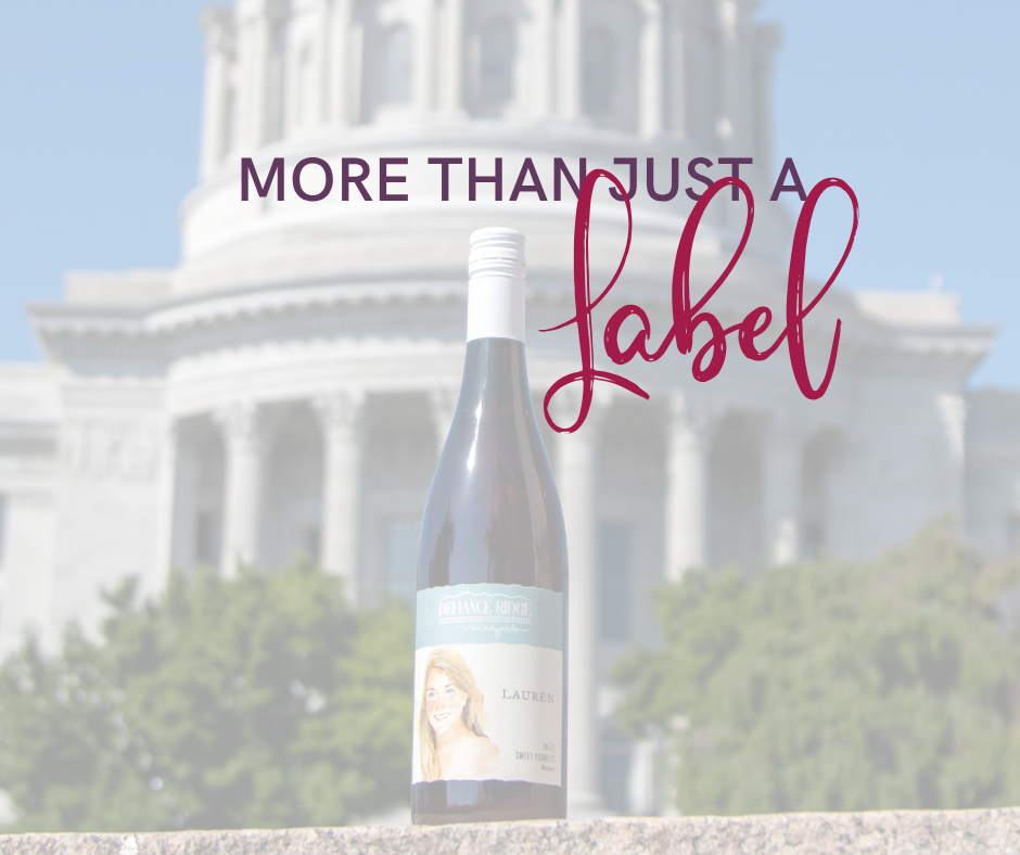 A wine bottle sitting on the ledge with the capital in the background and words over the top that read more than just a label