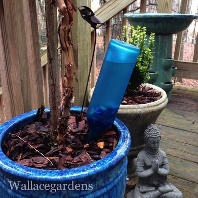 7 Ways to DIY in the Garden with Wine | Watering Device